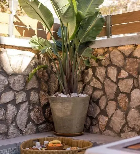 Saint Zoe * Rhodes City